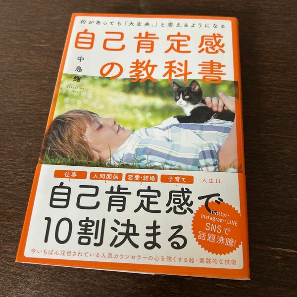 自己肯定感の教科書　自己肯定感で10割決まる　本