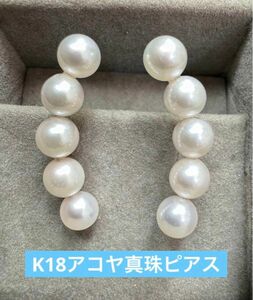 ★K18 ラインパールピアス アコヤ真珠 18金 k18 パール 卒業式 真珠ピアス ピアス 天然石 パール パールピアス