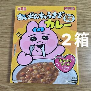 おぱんちゅうさぎ　カレー　ポーク中辛　2箱