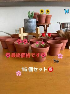 【小鉢222】ミニ多肉植物植木鉢 MINI観葉植物　15個セット　陶器鉢 苗床 サボテン鉢 プランター容器 底穴付き 