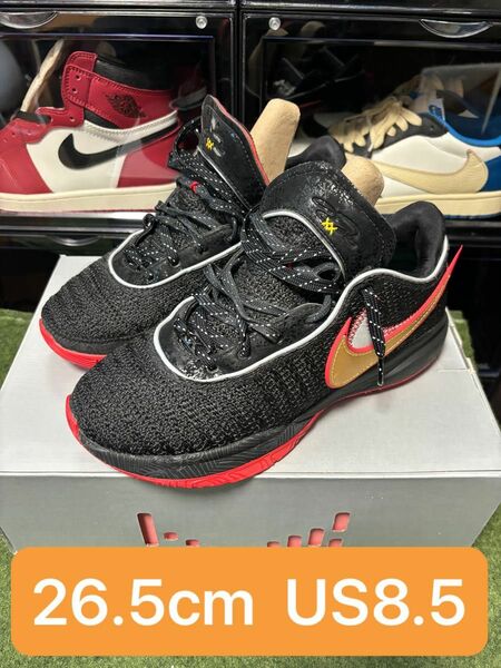 Nike LeBron 20 Black/University Red ナイキ レブロン 20 ブラック/ユニバーシティレッド