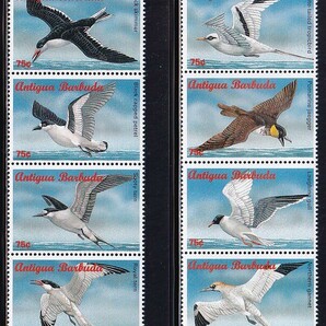 24 トピカル［テーマ：鳥］【未使用】＜ アンティグア・バーブーダ 1996年版 8種完(4種連刷x2組) ＞の画像1