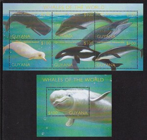 31 トピカル［テーマ：海洋哺乳類］【未使用】＜ ガイアナ 2002年版 / 世界のクジラ 組合せ・小型シート(6種連刷)+小型シート ＞