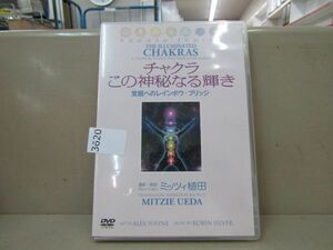 3620　AS DVD THE ILLUMINATED CHAKRAS チャクラ この神秘なる輝き 覚醒へのレインボウ・ブリッジ ミッツィ植田