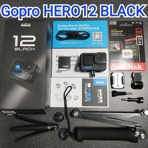 【お得セット】Gopro HERO12 BLACK☆新品microSD付