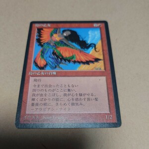 MTG マジック ザ ギャザリング 鳥の乙女 日本語 黒枠