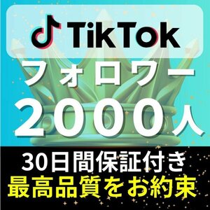 【安心安全★高品質★低価格★【TikTokフォロワー2000人】♪おまけ♪便利なSNS増加ツール！ SNS YouTube Instagram 他