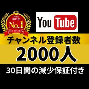 安心安全★高品質★低価格★【YouTubeチャンネル登録者2000人】おまけ♪便利なSNS増加ツール！ SNS Instagram TikTok 他 送の画像1