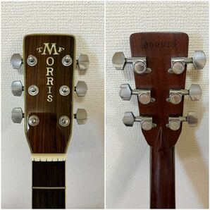 Morris モーリス W-50 アコースティックギター の画像5