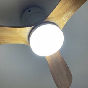 AVALO ELFのLED シーリングファン REAL wood blades (昼白色)の画像5