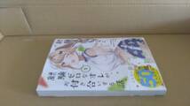 シュリンク付 経験済みなキミと、経験ゼロなオレが、お付き合いする話。 最新刊 5巻【24年3月 初版 長岡マキ子 カルパッチョ野山 magako】_画像2