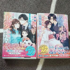  再会してしまったので、仮面夫婦になりましょう　　他１冊