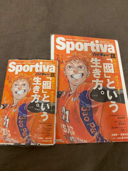 ハイキューショーセツバンsportivaコラボ　 ビジュアルボード　 チケット風しおり