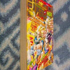 ドラゴンボール DRAGON BALL 特殊カラー表紙＆特集掲載 週刊少年ジャンプ１９９５年７号 極美品 孫悟空 孫悟飯 スラムダンク SLAM DUNKの画像9