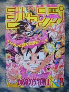 ドラゴンボール DRAGON BALL カラー表紙 幽遊白書 巻頭カラー 週刊少年ジャンプ１９９３年２号 極美品 孫悟空 スラムダンク SLAM DUNK