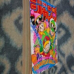 ほぼ完品♪ ドラゴンボール カラー表紙掲載 週刊少年ジャンプ１９８９年１・２号 孫悟空 孫悟飯 DRAGON BALL 聖闘士星矢の画像9