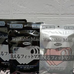 洗えるフィットマスク3枚入り　大人用×２婦人子供サイズ１