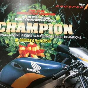 【全国送料無料】 ＮＳＲ２５０ＲＳＰ １９９５年ワールドチャンピオンカラー カタログ マイケル・ドゥーハンの画像3