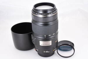 ★超極上美品・試撮写真あり★Canon キヤノン EF 75-300mm F4-5.6 IS USM 付属品多数 オマケ付★試し撮りにて動作確認済 鮮明な画像です！