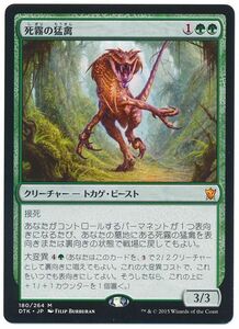 MTG　死霧の猛禽　在庫日3枚まで　タルキール龍紀伝　DTK　★他多数出品中