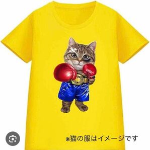 ボクシング をする 猫 ねこ レディース 半袖 Tシャツ メンズ S