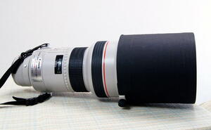 即決価格設定有 中古の良品 キヤノン Canon EF 300mm F2.8 L USM 防湿庫保管 送料込み 