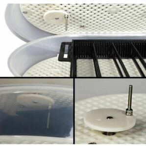 HARCOTY自動孵卵器 小型 ふ卵器 孵化器 PSE認証 インキュベーター全自動 実験用 学校用 教学用 家庭用 美品 送料無料の画像3