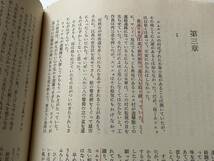 現代朝鮮文学叢書4『血の海』朝鮮画報社/1976年/裸本　抗日武装闘争 北朝鮮 遊撃隊 地下拷問室_画像7