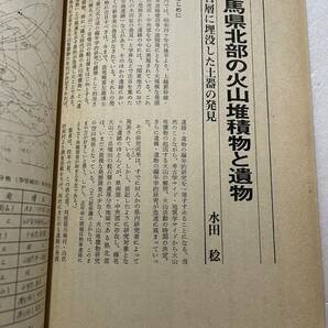 季刊『どるめん』28号/昭和56年/座談会「丸石神と考古学」 弥生式土器の原始絵画 韓国民間信仰における「不浄」の意味 民俗学の画像5