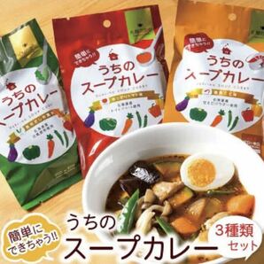 北海道産食材使用 うちのスープカレー 2人前 3種類セット 札幌の食卓 自宅の画像1