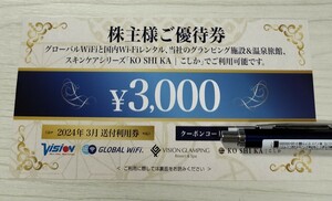 ☆最新・ナビ通知送料無料☆ビジョン 株主優待券 vision Wi-Fiレンタル 3,000円分 グランピング施設 温泉旅館 WiFi