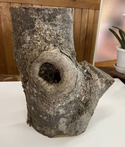 【値下げ】送料無料*穴開き天然木2/花器/一輪挿し/木工/彫刻/木材/DIY/手作り/木彫/アート/ディスプレー/オブジェ