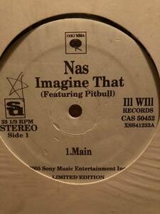 Nas Imagine That / Bridging The Gap (Manny Faces Remix)　イマジン