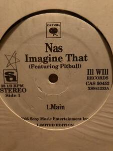 Nas Imagine That / Bridging The Gap (Manny Faces Remix)　イマジン