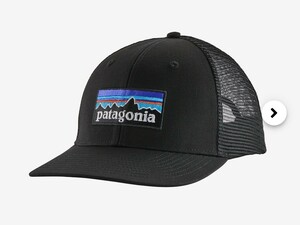 即決 Patagonia メッシュキャップ パタゴニア