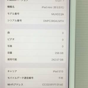 〇【美品】au iPad mini 第5世代 Wi-Fi+Cellularモデル 256GB A2124(MUXD2J/A) シルバー 〇判定 動作品の画像10