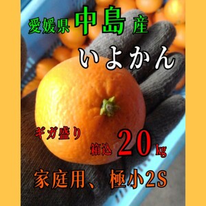 ギガ盛り☆送料込！！愛媛県中島産いよかん家庭用極小2S箱込20㎏(正味18.5㎏)伊予柑産地直送①