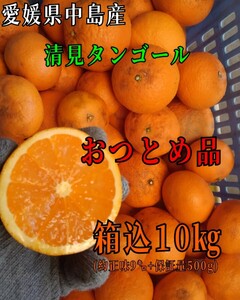 送料込！！超特価！！愛媛県中島産清見タンゴールおつとめ品箱込10㎏(賞味9㌔+保証量0.5㌔)産地直送②