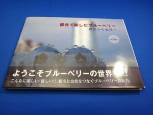 本　都会で楽しむブルーベリー　都会から自然へ　新品　未使用品