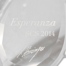 スワロフスキー SWAROVSKI SCS会員限定 ホース エスペランザ Esperanza オブジェ 置物 クリスタル 5004728 クリア 馬_画像6