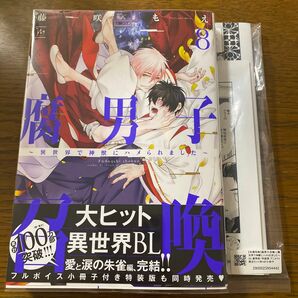 腐男子召喚 異世界で神獣にハメられました 8/藤咲もえ　アニメイト