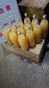 青森りんご　サンふじ100％　りんごジュース　1L12本入り　送料込み