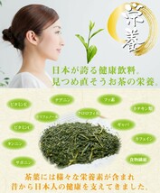 粉末緑茶 0.5g×110包入 まるごと 高級煎茶 美粉末 パウダー お茶 緑茶 粉末緑茶 粉末茶 粉末 スティック_画像10