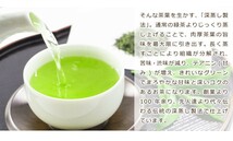 送料無料 掛川茶 100g×1袋 　お茶 緑茶 煎茶 茶 茶葉 お茶葉 静岡 牧之原 国産 深蒸し 深むし 健康 健康茶_画像6