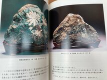 現代名石譜　日本の鑑賞石/石乃美社　CGB2106_画像6