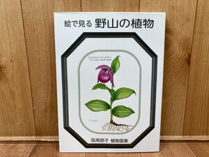 絵で見る 野山の植物　【阪尾朋子 植物画集】/ボタニカルアート　CGB2110