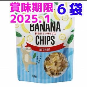 割れ バナナチップス フィリピン産 チャック袋 ココナッツオイル使用 100g 6袋 お菓子詰め合わせ ばなな ドライフルーツ 食品 おつまみ