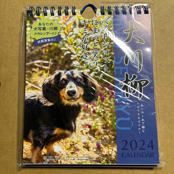 2024年 犬川柳 (週めくり)カレンダー ダックス 卓上カレンダー