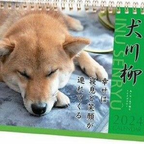 2024年犬川柳　卓上カレンダー　柴犬