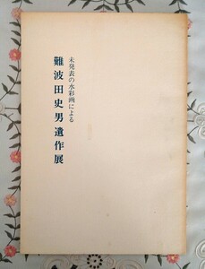 未発表の水彩画による 難波田史男 遺作展 1982年 東邦画廊 展覧会図録 昭和57年 難波田龍起